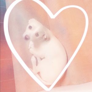 Meet your Posher, Maria